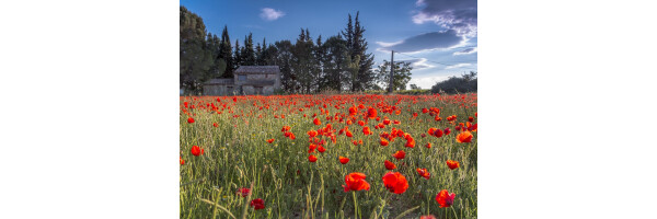 Languedoc