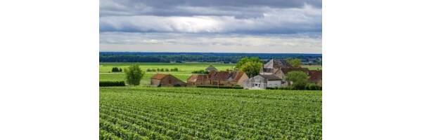 Chablis