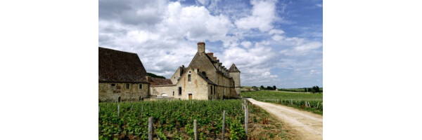 Côte de Beaune