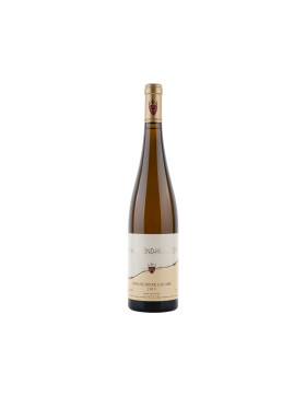 Riesling Roche Calcaire 2019 ZIND-HUMBRECHT (bio)