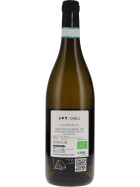 Abruzzo Pecorino DOC Amphora 2022 CIRELLI (bio)