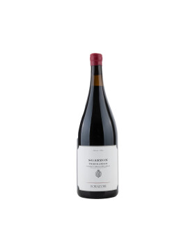 Sgarzon Teroldego Vigneti delle Dolomiti IGT 1,5l 2020...