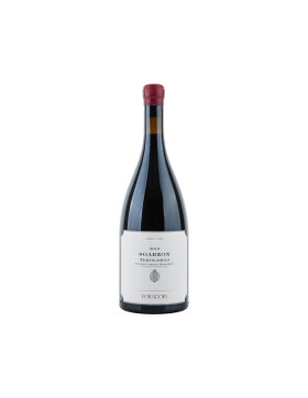 Sgarzon Teroldego Vigneti delle Dolomiti IGT 1,5l 2019...