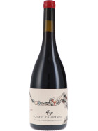Coteaux Champenois Rouge AOC 2020 De Sousa et Fils (bio)