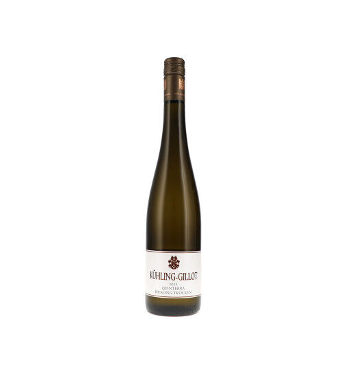Riesling trocken Qvinterra 2023 KÜHLING-GILLOT (bio)
