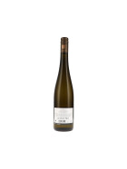 Riesling trocken Qvinterra 2023 KÜHLING-GILLOT (bio)