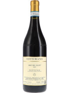 Bric Del Salto Dolcetto dAlba DOC 2023 SOTTIMANO