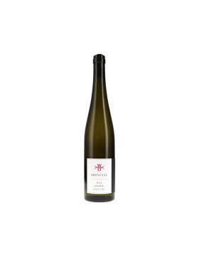 Riesling 120 N.N. 2023 ODINSTAL (bio)