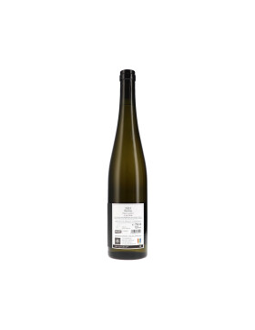 Riesling 120 N.N. 2023 ODINSTAL (bio)