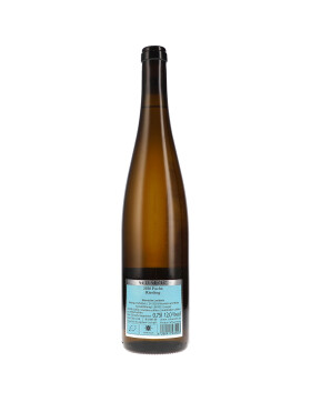 Riesling Fuchs 2020 WEINGUT SCHÄTZEL (bio)