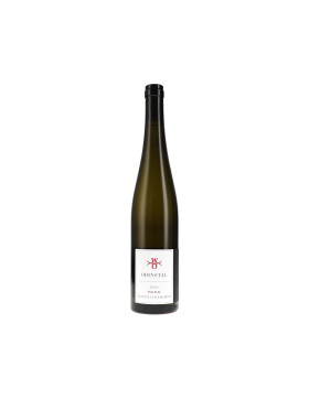 Gewürztraminer 350 N.N. 2023 ODINSTAL (bio)