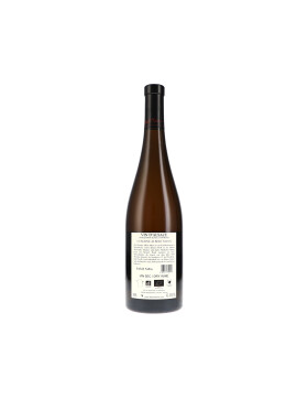 Pinot Noir Outrevin Amphore 2023 ALBERT MANN (bio)