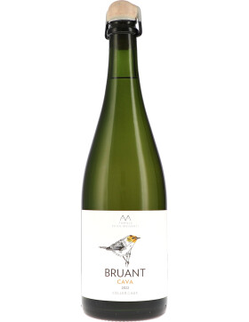 AUS Bruant Brut Nature, ungeschwefelt 2022 Alta Alella (bio)