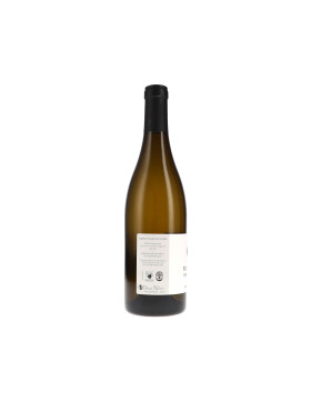 Pouilly-Fumé Terres Blanches AOC 2023 du Bouchot
