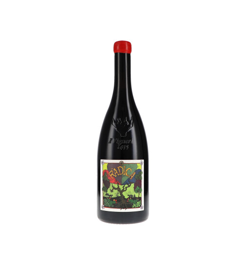Radica Rosso 2023 I Vigneri di Salvo Foti