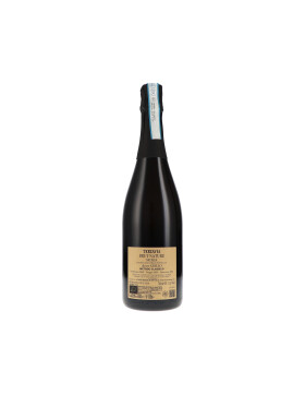 Metodo Classico "Terzavia" Brut Nature DOC 2022...