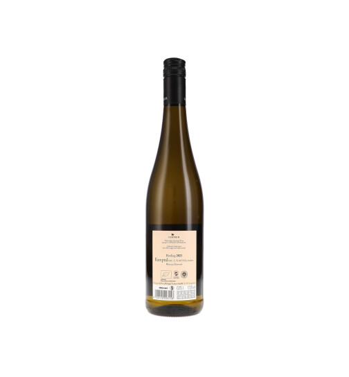 Riesling Kamptal DAC 2024 Loimer (bio)