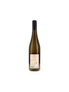 Riesling Kamptal DAC 2024 Loimer (bio)