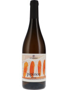 Pinot Grigio "Pipinot" DOC 2023 Scarbolo