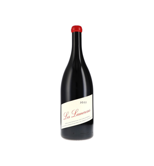 Bourgogne Côte dOr "Les Lameroses" Sans Sulfite Ajouté AOC 2022 Rougeot Père & Fils (bio)