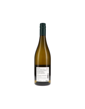 Weissburgunder & Chardonnay Kalk und Löss 2023...