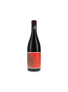 Côte Rôtie "Côteaux de Bassenon" AOC 2022 Maison Stephan (bio)