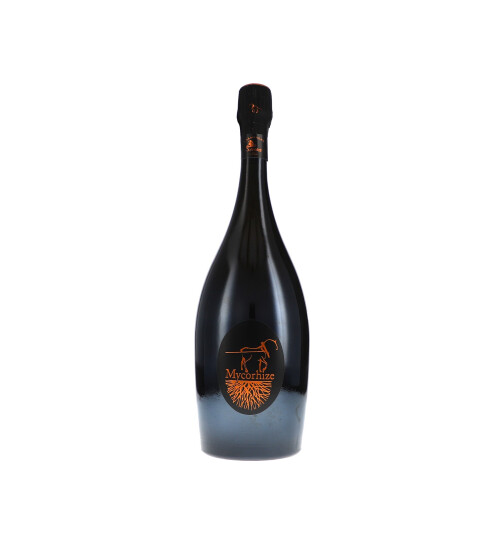 Cuvée Mycorhize L12 Grand Cru Extra Brut  De Sousa et Fils (bio)