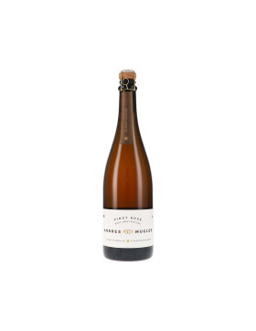 Pinot Rosé Sekt Brut Nature 2023 Andres&Mugler...