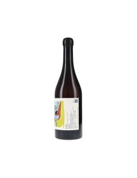 Pinot Grigio "Salvadi" DOC 2023 Scarbolo