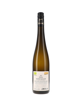 Zwickl, Grüner Veltliner trocken 2023 Nikolaihof (bio)