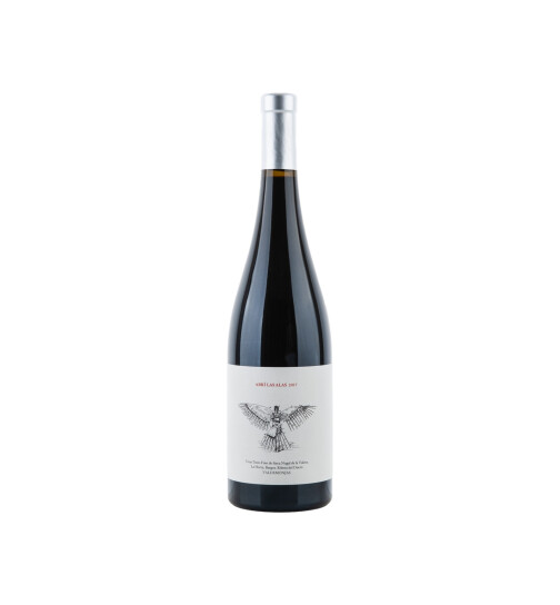 Abrí Las Alas - I Opened My Wings 2017 Valdemonjas (bio)