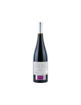 Abrí Las Alas - I Opened My Wings 2017 Valdemonjas (bio)