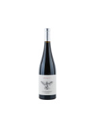 Abrí Las Alas - I Opened My Wings 2017 Valdemonjas (bio)