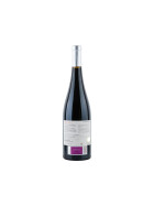 Abrí Las Alas - I Opened My Wings 2017 Valdemonjas (bio)