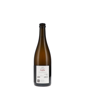 Cidre Pét-nat, Apfelperlwein 2023 Odinstal (bio)