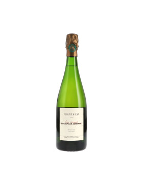 Les Galipes de Coulommes, Premier Cru Extra Brut 2018...