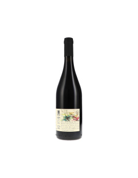 CinqueCampi, Rosso Frizzante, Emilia Lambrusco IGT 2023...