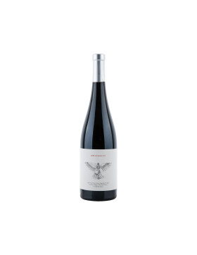 Abrí Las Alas - I Opened My Wings 2019 Valdemonjas...