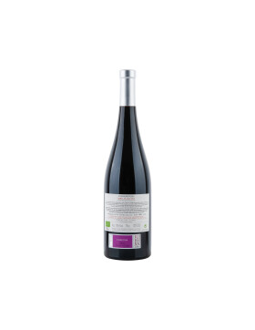 Abrí Las Alas - I Opened My Wings 2019 Valdemonjas...