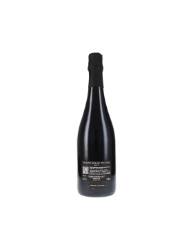 Blanc de Blanc VSQ 2017 Cà del Vént