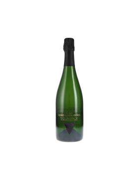 Les Montchenevaux au Levant, Oger Grand Cru Blanc de...
