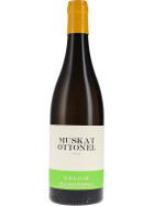 Muskat Ottonel 2022 Velich