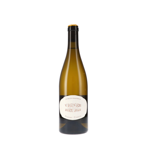 Vignes Dieu Blanc, Coteaux Champenois 2022 Bonnet-Ponson (bio)