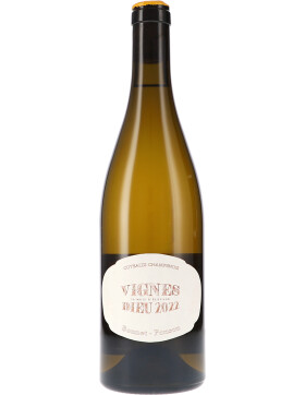 Vignes Dieu Blanc, Coteaux Champenois 2022 Bonnet-Ponson...