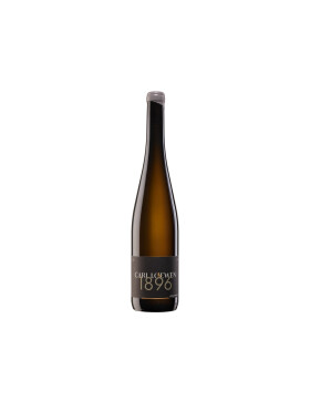 Riesling 1896 Großes Gewächs 2024 Carl Loewen