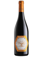 Primitivo Appassimento Lucale 2023 BORGO DEI TRULLI