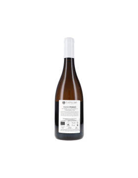 Bianco Pomice IGP 2023 Tenuta di Castellaro (bio)