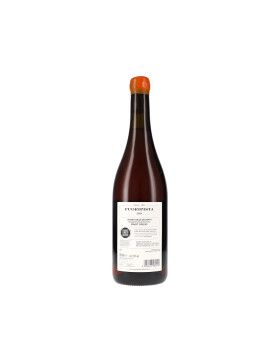 Fuoripista Pinot Grigio Vigneti delle Dolomiti IGT 2024...