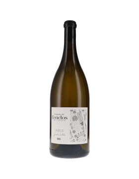 Chablis Gabrielle AOC 2023 de lEnclos (bio)