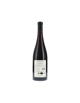 Pinot Noir Clos de la Faille AC 2023 Albert Mann (bio)